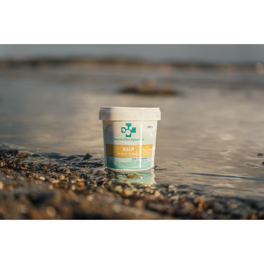 Svenska DjurApoteket | Kelp 500g
