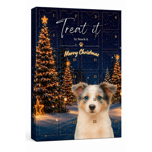 Treat'it by Snack'it | Julekalender til hunde