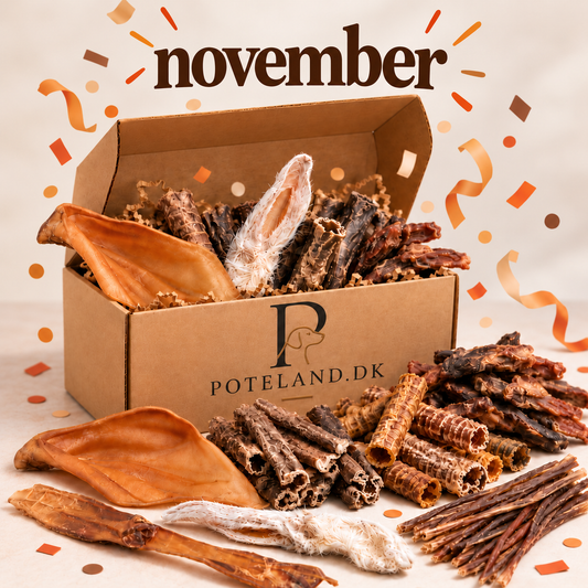 Snackkassen for november