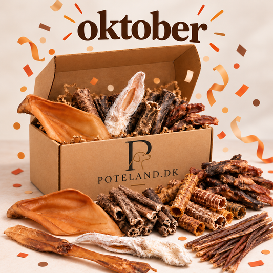 Snackkassen | Oktober